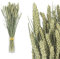 Inter Flowers GmbH Echter Weizen getrocknet im Bund - stark duftend Deko, Weizenbund Trockenblumen, trockenblumen deko, getrocknete Blumen Lavendelblüten Echt Raumduft Blüten (1 Bund Weizen)