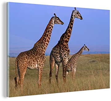 MuchoWow Glasbild Glasfoto Wandbild Bilder Deko 30x20 cm Drei Giraffen in Kenia