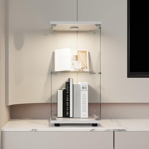 FOERPL Vetrina, vetrina in vetro a LED, vetrina in vetro per collezione con porta, vetrina in vetro 2 strati, armadio vetrina con serratura vetrina, mobile soggiorno bar (2 piani + luci, bianco)