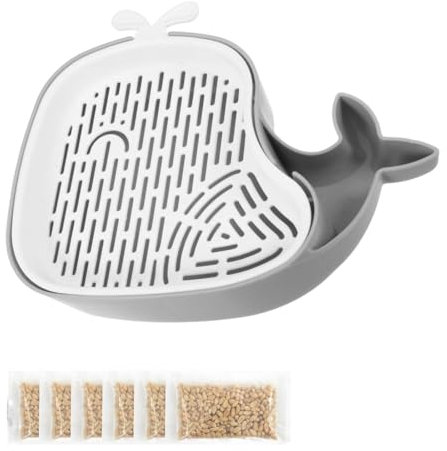 GXGM Set Di Semi Di Erba Gatta,Sono Inclusi 5 Pacchetti Di Chicchi Di Grano,Con Vassoio Di Germinazione Dell'Erba Gatta,Set Di Coltivazione Dei Germogli(Grigio)