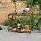 RAUGAJ Barwagen braun 100x45x83cm Poly Rattan Artikelfarbe braun
