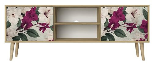 Healancy Biomedical TV Schrank mit Türen - Kommode - Fernsehschrank - Lowboard - Fernsehtisch - Wohnzimmer Möbel - Board mit Stauraum - Tisch - Sideboard - Fernsehrregal Riva-Eiche