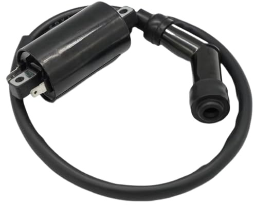 Motorrad Zündungen Win 250 Zündspule Für Kymco Dink250 Mxu250 3051A-Khe7-900 Für Grand Dink 250 Mxu300 Spule Assy Zündung Mongoose300 Mxu700i Yup50 Zündspule