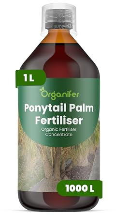 Fertilizante Líquido - 1L - Para Pie De Elefante - NPK 2-1-8 | Plantas Robusta Y Hojas Lujosas - Organifer