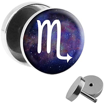 Treuheld® | Fake Plug Tierkreiszeichen Skorpion - Ø 10mm Bild Ohrstecker mit Motiv zum Schrauben - Chirurgenstahl Ohr Faketunnel Silber - Tunnel Ohrringe Ohrring Stahl Fakeplug Sternzeichen