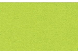 Ludwig Bähr 10 x Fotokarton 300g/qm 70x100cm hellgrün
