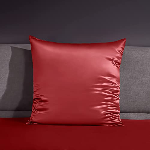 THXSILK 22 Momme Seide Kissenbezug - 100% Seide Kopfkissenbezug Sofakissenbezug Kinderwagen - Anti milben Reißverschluss Seidenkissenbezug - rot 80 x 80 cm