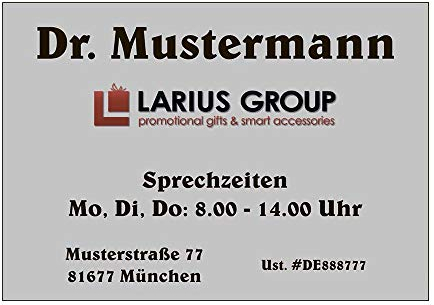 Praxisschild mit individuellem Motiv/Logo | Layout selbst gestalten - Türschild Kanzleischild silber-metallic, 300 x 210 mm, Ideal für Praxis, Kanzlei oder Büro (300 x 210 mm)