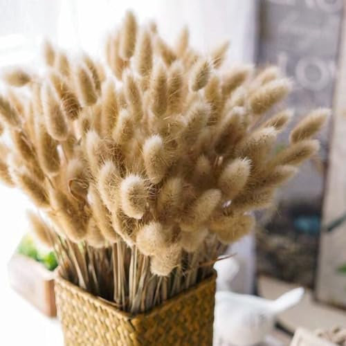 wintfarm Lot de 120 petites herbes de la pampa - 45 cm - Fleurs séchées - Couleur naturelle - Bouquet de fleurs séchées - Parfait pour les mariages, la décoration de la maison, les fêtes, les mariages
