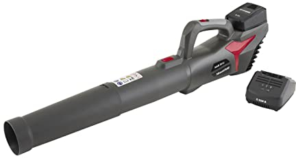 Mountfield 20 Li Cordless Axial Blower, 20V (2Ah) battery, 280W, 32m/s max air speed, Variable speed, Battery and charger included