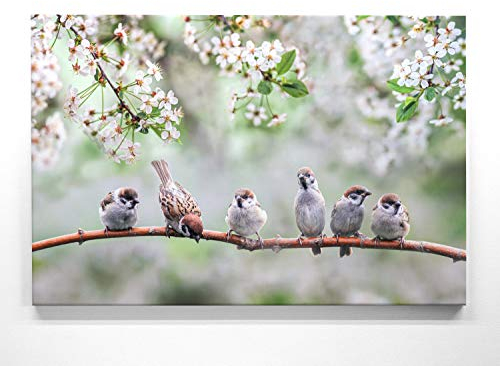 BilderKing Eine schöne Frühlingsdekoration, Spatzen-Kinder als 80x80cm großes Leinwand-Bild. Fertig aufgespannt auf 2cm Holzrahmen. Zaubern Sie Frühling an die Wand. Perfekt als Deko für alle Zimmer