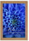 Americanflat Bilderrahmen A4 - Dunkle Eiche - DIN A4 Bilderrahmen Verbundholz mit Splitter Festem Glas - Horizontale und Vertikale Formate für die Wand und den Tisch
