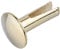 Split Rivets Brass Plated Steel | 1/2 Long | Pack of 50 Rivets | TKR-12