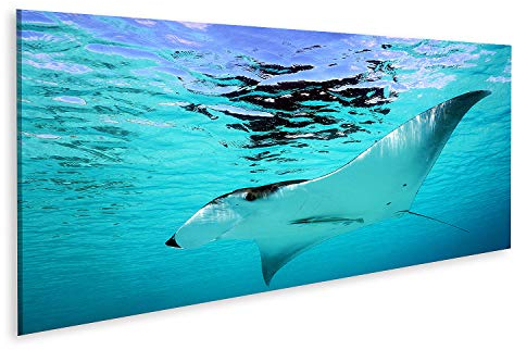 islandburner Bild auf Leinwand Manta Rochen Bilder Wandbilder Poster