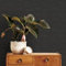 Superfresco Easy Black Serenity Textured Wallpaper | Paste The Wall | Black Texture | Eco-Friendly