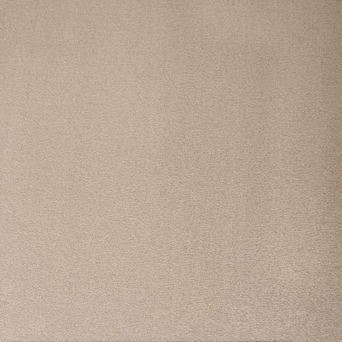 Underfoot Felt-Backed Carpet - Durable Twist Pile Carpet Bleach-Cleanable & Stain-Resistant | Easy Fit DIY Friendly Carpets (Cream, 5m x 4m)