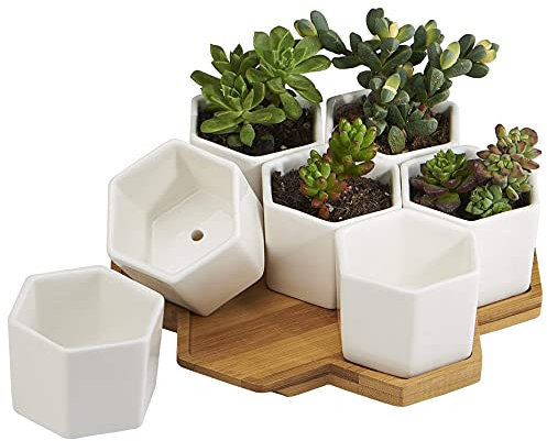 Planter Pots Indoor, 7 Pack 2.75 Inch Modern White Ceramic Small Hex Succulent Cactus Flower Plant Pot with Bamboo Tray for Indoors Outdoor Office Home Garden Kitchen Decor (Hexagon)