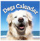 Wandkalender 2023-2024,Kalender 2023-2024, 18 Monatskalender Planer 2024 Wandkalender Lustiger Kalender Kalender Gag Geschenk ts for family, friends