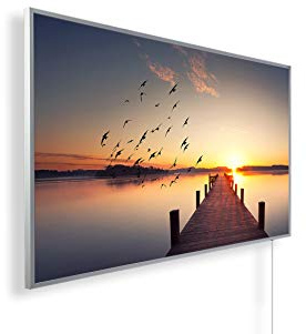 Könighaus Bildheizung 600 Watt - Thermostat - 8-16 m² | Weißer Rahmen, Motiv: 02. Steg Vögel, TÜV SÜD