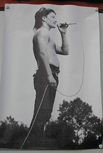 U2 – Bono – 49 x 72 cm zeigt/Poster