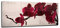 Canvasfly Wandpaneele für Küche Deko-Spritzschutz für Küchenrückwand Glas Bilder Gehärtet Küchen-Deko Glasplatte aus Vorgespanntem Glas Küchenrückwandplatte 150x60 Orchidee