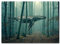 ZHANGWEIART Poster Wandbilder Abstrakter Wal, der im Wald schwimmt, Druckposter, Bäume, Frühlingslandschaft, kreative Wohnkultur, Bildkunst 60x90cm