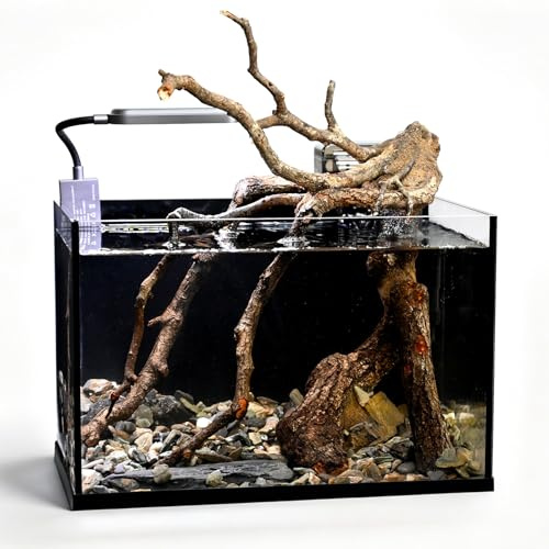 Nano-Natur-Aquarium-Set, 2,8 Liter, Schwarz, 2,8 Gallonen