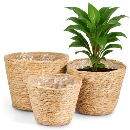 GREENSAPPIRE Pflanzkorb 3er Set 18/21/23 cm – Geflochtener Übertopf aus Seegras mit Folieneinsatz – Boho Blumentopf Natur, Dekorativer Pflanzenkorb für Zimmerpflanzen