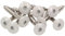 100x MEISTERLING® Fassadenschrauben INOX V4A 5,5 x 25 mm – Flachkopf Torx T20 + 1 Bit – Hellgrau