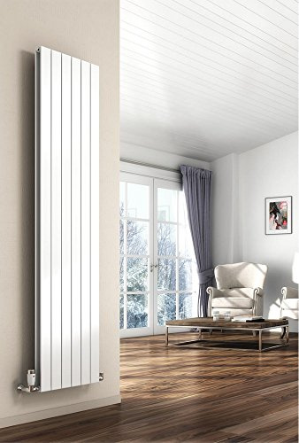 Reina RND-FL184WD Flat Double Vertical Radiator 30 kg, 29.2 cm White