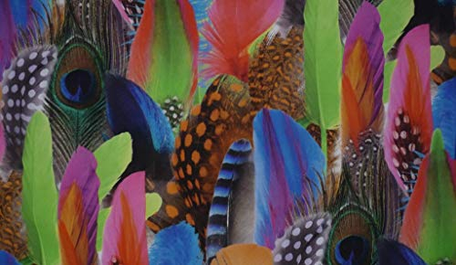 Stoffeldorado - Meterware Dekostoff, Federn Multicolor, 160 cm Breit