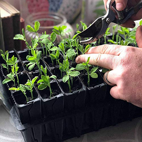 Suttons Rootrainers 64 Cells (Pack of 2), Grow Your own Veg, Gardening Equipment, Veg Growing Equipment, Root Trainers, Propagation, Propagaing