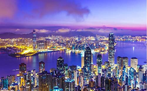 LZQZJD 3d jigsaw puzzle 3000 pieces of Hong Kong night view challenging wooden jigsaw puzzle game