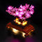 YEABRICKS LED Licht für Lego-10281 Creator Expert Bonsai Tree(Pink) Bausteine Modell (Lego Set Nicht enthalten)