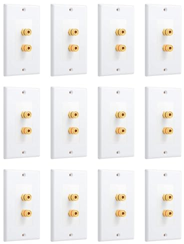 Hundnsney - Juego de 12 Placas de Pared para Altavoz 1.0 a un Solo Grupo (Placa de Pared con Enchufe de plátano) para 1 Altavoz, Color
