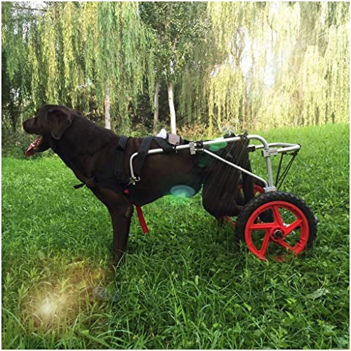 KHLMSRXJ Haustierrollstuhl für Hunde, Hunderollstuhl für die Hinterbeine, großer Hundewagen-Rollstuhl, Premium-Laufräder, Rehabilitation der Hinterbeine, Haustierbedarf, Help Em Up-Geschirr