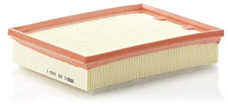 MANN-FILTER C 25 109/1 Filtro dell'aria - per Autovetture + veicoli commeriali