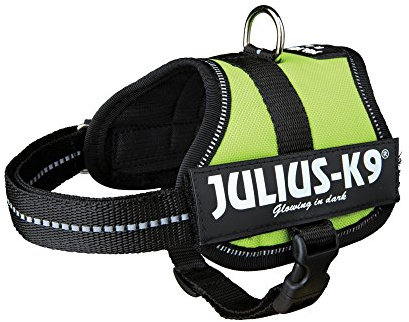 K9 Powergeschirr, Größe: M/0, Kiwi