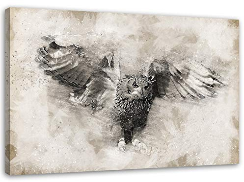 Feeby. Wandbild - 1 Teilig - 60x80 cm, Leinwand Bild Leinwandbilder Bilder Wandbilder Kunstdruck, EULE, NATUR, VINTAGE, SCHWARZ-WEIß