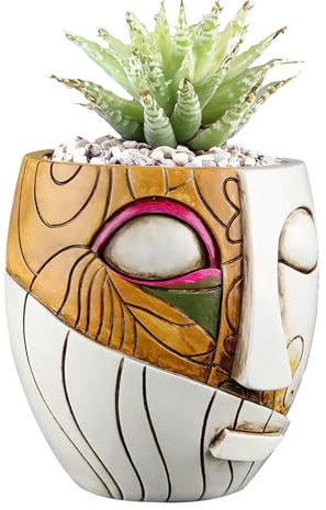 Dreuhuing Fioriera astratta, vaso creativo in vaso, vasi in resina, vasi per piante da interno, vasi unici e divertenti per gli amanti delle piante
