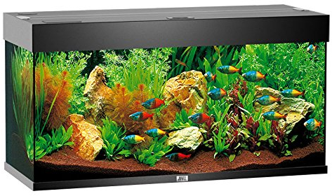 Juwel Rio 180 - Acuario completo con accesorios, material filtrante negro, 180 l