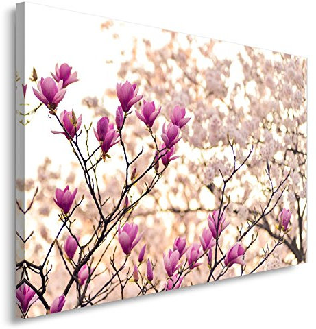 Feeby. BLUMEN Bild auf Leinwand Größe: 40x60 cm, 1 Teilig Leinwanbild Wandbild Kunstdrucke Wanddeko NATUR ROSA