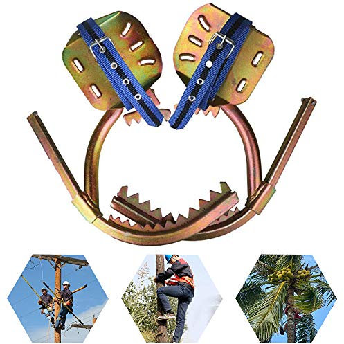 Ramponi Tree Climbing, Ramponi per Alberi Professionali, Regolabile Ramponi per Alberi per L'arrampicata Osservazione della Caccia Raccogliendo Frutta,250model