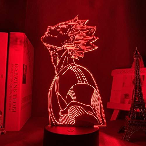 Haikyuu Bokuto - 3D Nachtlicht für Schlafzimmer Dekoration Anime Beleuchtung RGB Bunte Manga Gadget Illusion Lampe Geburtstagsgeschenk-16 Farbe mit Fernbedienung