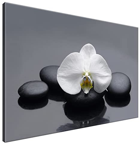Estika Leinwand bilder - Weiße Orchidee - 120x80 cm, 1 teilige kunstdruck - Wandbilder wohnzimmer, schlafzimmer, Moderne wanddeko, Bild auf leinwand - SPA bilder - 1712A_1B