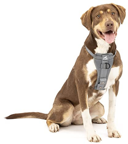 Kurgo TRU-Fit Hundegeschirr, Crash-Test-erprobtes Auto-Sicherheitsgurt, Für Hunde von 2 bis 5 kg, Größe M, Grau