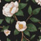 VOLEAAR Gardenia Floral Wallpaper Cape Jasmine Flower Contact Paper Wallpper Peel and Stick Vintage Boho Wall Paper Waterproof Easy to Cut Vinyl Film Removable Black Green White 44.5CM x 300CM