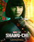 Shang-Chi and the Legend of the Ten Rings Poster 30 x 40 cm