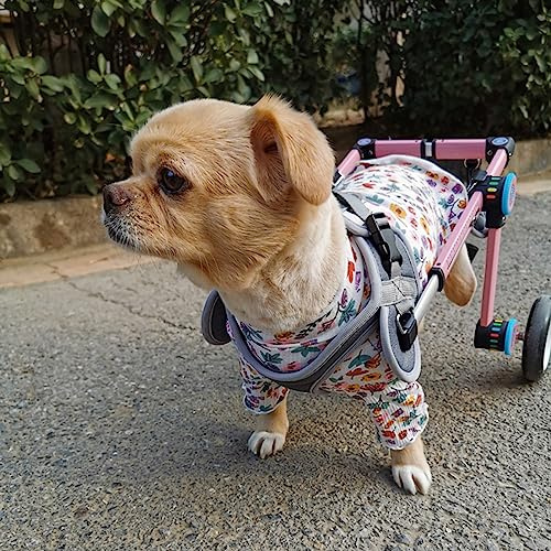 Hunderollstuhl Faltbares Haustierwagen Rollstuhl, Katze/Hunde-Tierradstühle, Hundewanderung mit Verbesserten All-Terrain-Reifen, Rehabilitation Haustierwagen Langlebig (Size : Size XXS)