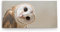Paul Sinus - Wandbild auf Leinwand 100x50cm, Eule Tiermotiv, Natur, Neugier, Verspieltheit, Detailreich, Hochwertig, Wandkunst, Dekoration, Modernes Design
